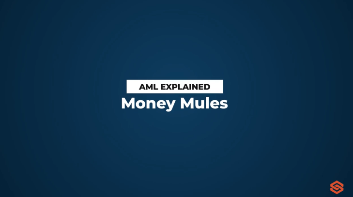  Money Mules